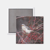 Aimant Colibri (Recto/Verso)