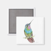 Aimant Colibri (Recto/Verso)
