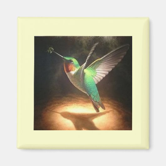 Aimant Colibri3 (Devant)