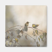 Aimant Colibri 5265 (Devant)