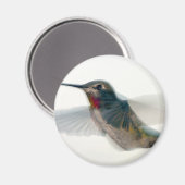 Aimant Colibri à gorge rouge (Recto/Verso)