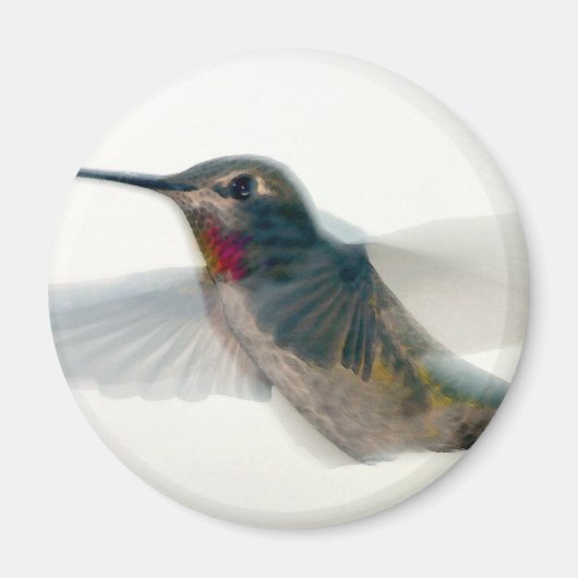 Aimant Colibri à gorge rouge (Devant)