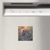 Aimant Colibri au coucher du soleil (In Situ (Lave-vaisselle))