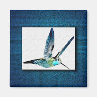 Colibri bleu