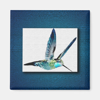 Aimant Colibri bleu