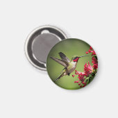 Aimant Colibri coloré (Recto/Verso)