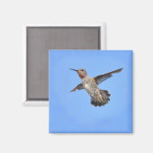 Aimant Colibri dans l'aimant de vol (Recto/Verso)