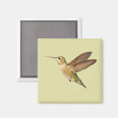 Aimant Colibri dans l'aimant de vol (Recto/Verso)