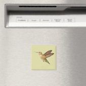 Aimant Colibri dans l'aimant de vol (In Situ (Lave-vaisselle))