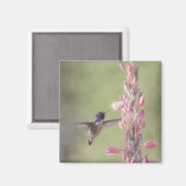 Aimant Colibri de Charme Costa (Recto/Verso)