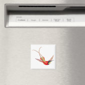 Aimant Colibri en vol (In Situ (Lave-vaisselle))