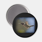 Aimant Colibri en vol (Recto/Verso)