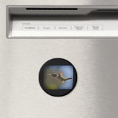Aimant Colibri en vol (In Situ (Lave-vaisselle))