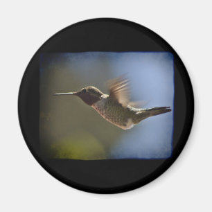 Aimant Colibri en vol