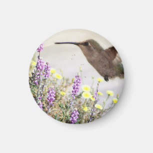 Aimant Colibri et Fleurs Sauvages Art Numérique