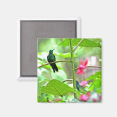 Aimant Colibri et fleurs tropicales (Recto/Verso)