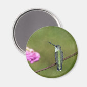 Aimant Colibri et Zinnia (Recto/Verso)