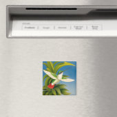 Aimant Colibri Moderne (In Situ (Lave-vaisselle))