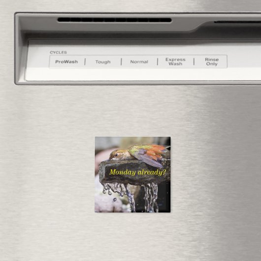 Aimant Colibri posé dans l'eau 2 (In Situ (Lave-vaisselle))