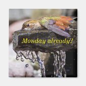 Aimant Colibri posé dans l'eau 2 (Devant)