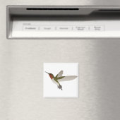 Aimant Colibri Ruby Throsé (In Situ (Lave-vaisselle))