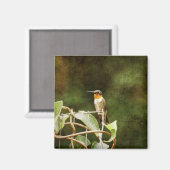 Aimant Colibri Ruby Throsé (Recto/Verso)