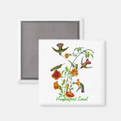 Aimant Colibri social (Recto/Verso)