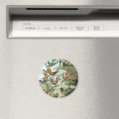Aimant Colibri vintage (In Situ (Lave-vaisselle))