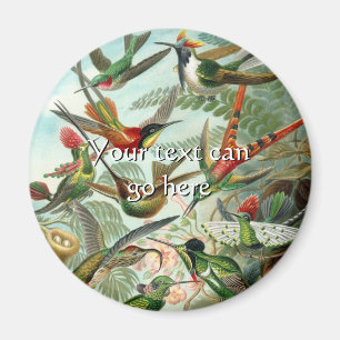 Aimant Colibri vintage