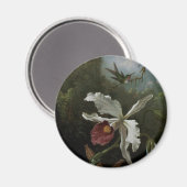 Aimant Colibris et Orchidée blanche de Martin J. Heade (Recto/Verso)