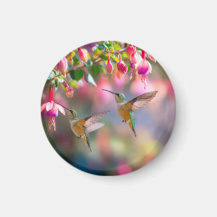 Aimant Colibris Fleurs de Fuchsia Lueur Iridescente