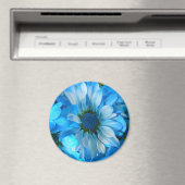 Aimant Collaert (In Situ (Lave-vaisselle))