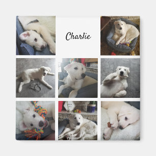 Aimant Collage de photos de chiot animal de compagnie mig