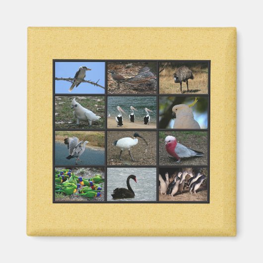 Aimant Collage photo d'oiseaux australiens (Devant)