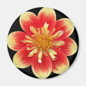 Aimant Collarette orange et jaune Dahlia Floral (Devant)