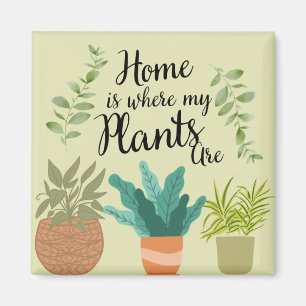 Aimant Collection d'aimant de réfrigérateur unique