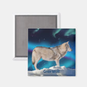 Aimant Collection de loups gris et d'Aurora (Recto/Verso)