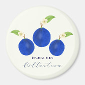 Aimant Collection de prunes botaniques (Devant)