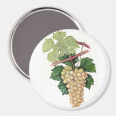 Aimant Collection Dionysus & Rhea (Recto/Verso)