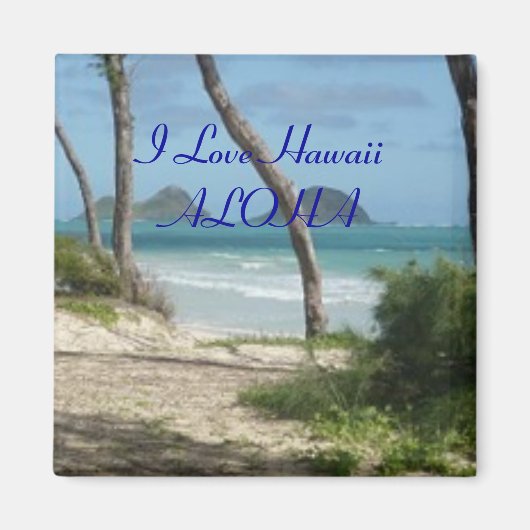 AIMANT COLLECTION HAWAII ALOHA (Devant)