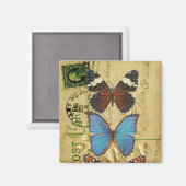 Aimant Collection papillon (Recto/Verso)