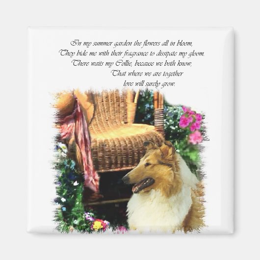 Aimant Collie Art Cadeaux Rough Sable (Devant)