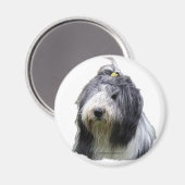 Aimant collie barbu (Recto/Verso)