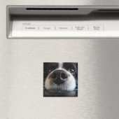 Aimant Collie Bordure Cute Nez Closeuse (In Situ (Lave-vaisselle))