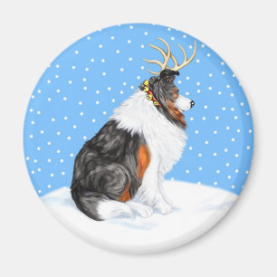 Aimant Collie Christmas Reindeer Tri