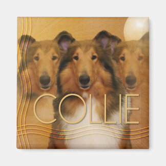 Aimant Collie Crescent Moon