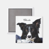 Aimant Collie frontière noire et blanche personnalisée (Recto/Verso)