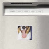 Aimant Collie langue à balancer (In Situ (Lave-vaisselle))