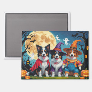 Aimant Collies frontalières Chiens Citrouille Halloween D