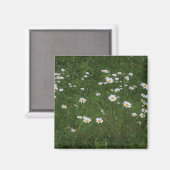 Aimant Colline des marguerites (Recto/Verso)